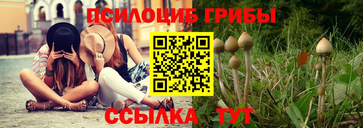 где продают   Галлюциногенные грибы ЛСД  Вход с VPN  Южноуральск 